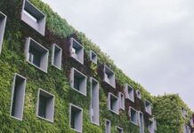 Wat zijn ecologische bouwmaterialen?